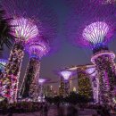 (주) 수퍼트리 이미지