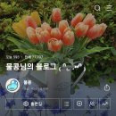 군침돌개 이미지