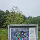 동교 이미지