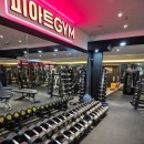 피아트짐 이미지