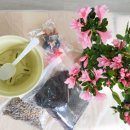 창영초등학교병설유치원 이미지