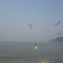 선녀바위-선착장 이미지