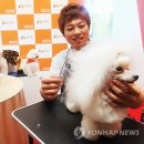 디비에스 주식회사 이미지