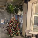 사천대교로 | 사천 사천대교 드베이지 카페 후기 – 오션뷰,노을,빵까지 완벽했던 대형카페, 야경 명소 제대로 찾았다