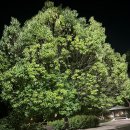 신창동1173 이미지