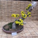 마비정 누리길 이미지