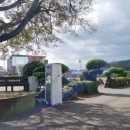 안덕면 서광초등학교 앞 이미지