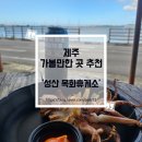 제주 성산 해안도로 목화휴게소 후기, 바다 보며 먹는 한치구이 맛집
