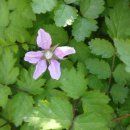 산매농장 이미지