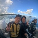 머메이드 | 온나손 푸른동굴 다이빙/스노쿨링 오키나와 핑크 머메이드 이용 후기