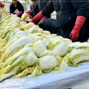 파인글로벌㈜ 이미지