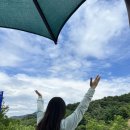 한신대학교 정신분석대학원 | 꿈을 향한 한 걸음: 한신대 정신분석대학원 합격과 중앙대 심리서비스 대학원 면접