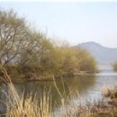 낙동강체육공원 인라인스케이트장+게이트볼장 이미지