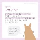 정든동물병원 이미지