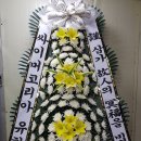 싸이머코리아 유한회사 - 4439 | 싸이머코리아 유한회사