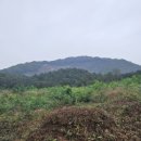 신속묘 | 묘지이장안식처#291 충주 합장묘 묘지 개장 후 충주화장장까지의 작업 후기