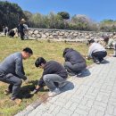 공감나무