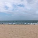 은찬목장 | 190812 ~ 190813 강릉여행 : 경포해변, 오죽헌, 해미가, 대관령양떼목장 🐑
