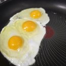 우프동물농장 이미지