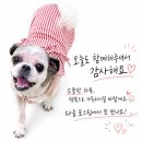 송정동-20 | [구미 송정동] 대가인생순두부 솔직 후기 🍲 찌개보단 역대급 돌솥 숭늉에 반하고 온 날!