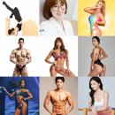 옵티멈피티 이미지