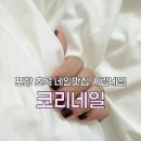 코리네일
