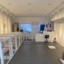 퍼피마인 이미지