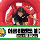 어룡태권도 이미지