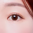 호호렌즈 이미지