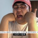 수연 이미지