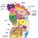 건강지도 이미지