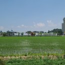 옥산리농로 이미지