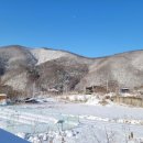 강골농장 이미지