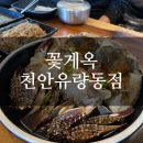 [천안맛집]꽃게옥 천안유랑동점 , 애견동반가능