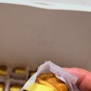 복호두양산