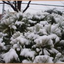 금정구청 보건소 이미지