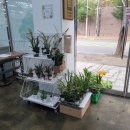 계룡하나로마트 로컬푸드센터 | (김해 로컬푸드 임시직매장) 부추전과 간장불고기