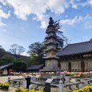 마곡사4 | 가을여행으로 좋은 충남 공주, 세계문화 유산을 품은 천년고찰 "마곡사"다녀온 후기