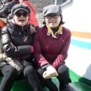 목포여자고등학교 이미지