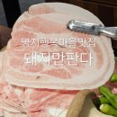 명지 행복마을맛집 입에서 녹는 얇은 삼겹 돼지만판다