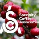 바리스타초급(목) 이미지