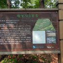 화창군묘 이미지