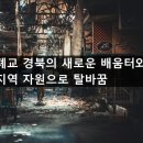 다인초달제분교 네이버블로그