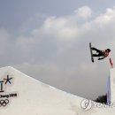 PARROT KOREA 이미지