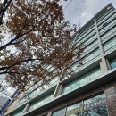 e조은약국 이미지