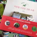 바느질하는 부엉이
