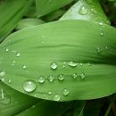 공감성형외과의원 이미지