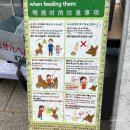 여우비관광호텔 | 2024.12_둘이서 오사카 도장깨기 - 5일차 (수프스톡/나라공원/카무쿠라/리쿼마운틴/마쓰야)