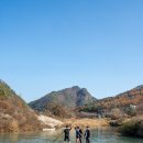 중천농장 이미지