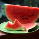 #클린짐 이미지